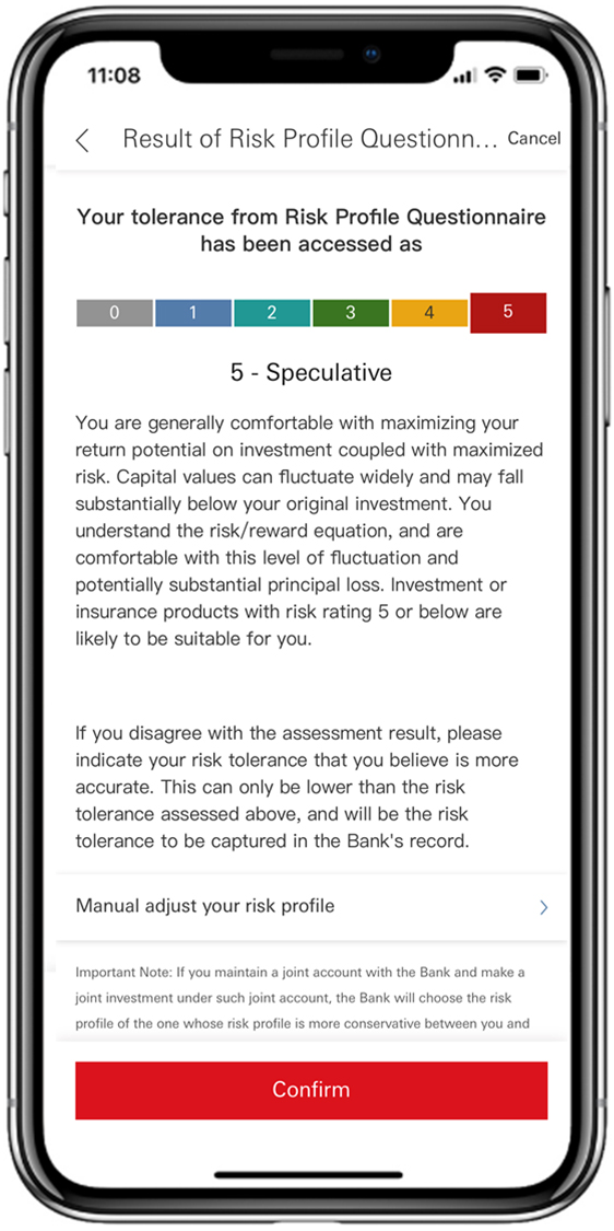 'Risk Profiling Questionnaire' result