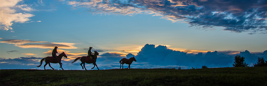 游客在草原上策马奔腾